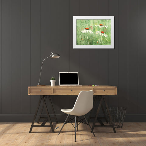 Echinacea two White Modern Wood Framed Art Print by Clema