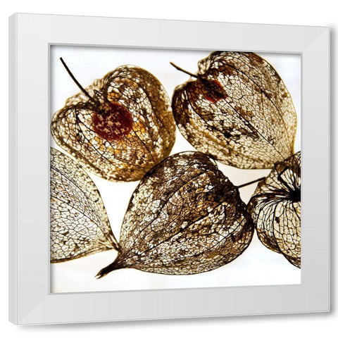 Evanescence III White Modern Wood Framed Art Print by Weber, Matthias