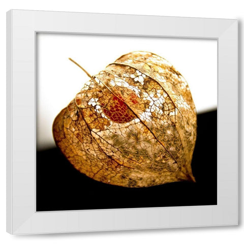 Evanescence V White Modern Wood Framed Art Print by Weber, Matthias