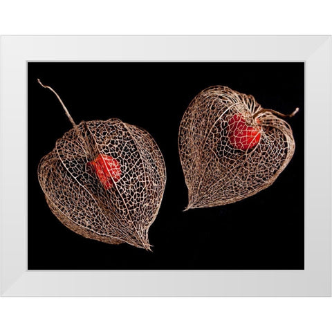 Lantern Hearts White Modern Wood Framed Art Print by Weber, Matthias