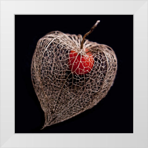 Lantern Heart I White Modern Wood Framed Art Print by Weber, Matthias