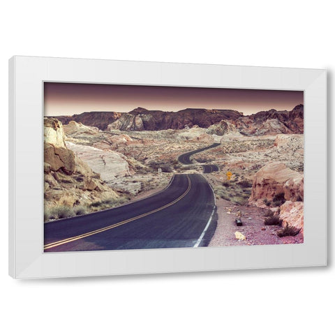 Snake Road White Modern Wood Framed Art Print by Lichtenwalter, Tom