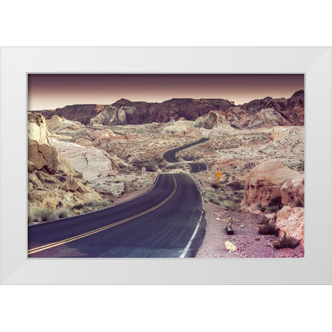 Snake Road White Modern Wood Framed Art Print by Lichtenwalter, Tom