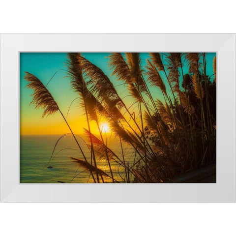 Shining Reed White Modern Wood Framed Art Print by Lichtenwalter, Tom