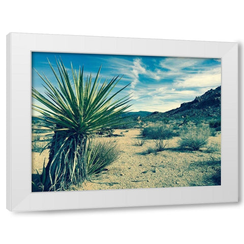 Lonesome White Modern Wood Framed Art Print by Lichtenwalter, Tom