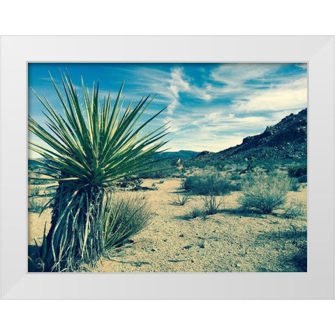 Lonesome White Modern Wood Framed Art Print by Lichtenwalter, Tom