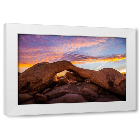 Stonebridge White Modern Wood Framed Art Print by Lichtenwalter, Tom