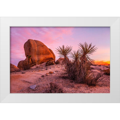 Stoneway White Modern Wood Framed Art Print by Lichtenwalter, Tom