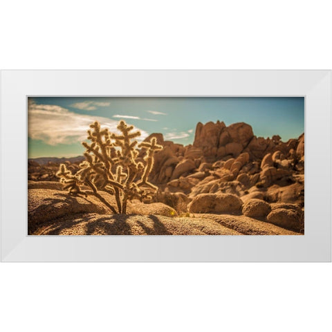 Desert Foreground White Modern Wood Framed Art Print by Lichtenwalter, Tom