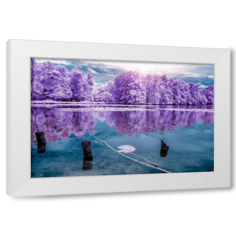 Majolan s Park Reflections I-Bordeaux - Infrared and UV photography  White Modern Wood Framed Art Print by Gee, Tonee