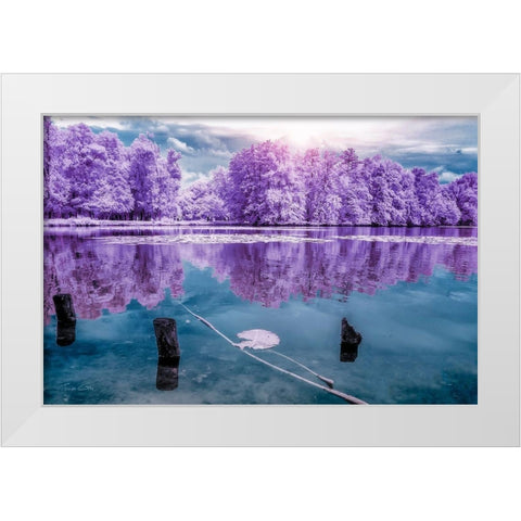 Majolan s Park Reflections I-Bordeaux - Infrared and UV photography  White Modern Wood Framed Art Print by Gee, Tonee