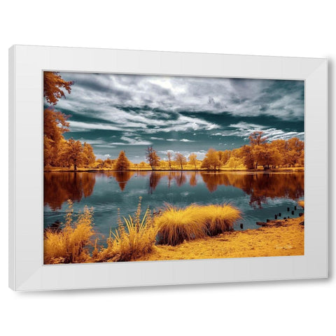 Majolan s Park Reflections II-Bordeaux - Infrared and UV Photography  White Modern Wood Framed Art Print by Gee, Tonee