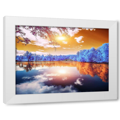Double Reflections-Majolan s Park-Bordeaux - Infrared Photography  White Modern Wood Framed Art Print by Gee, Tonee