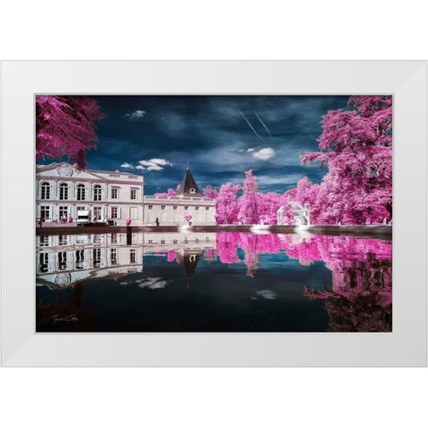 Gradignan s City Hall-France - Infrared Photography  White Modern Wood Framed Art Print by Gee, Tonee