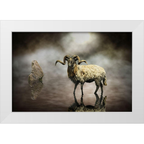 Sheep White Modern Wood Framed Art Print by Visser, Michiel