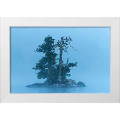 Insel im Klockesjoen White Modern Wood Framed Art Print by Seidel, Leo