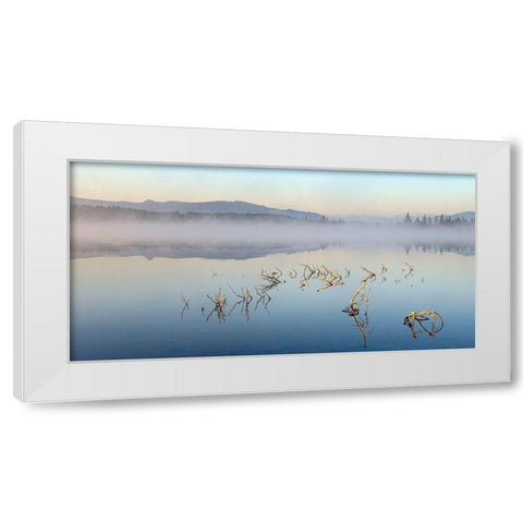 Solitude White Modern Wood Framed Art Print by Steger, Uwe