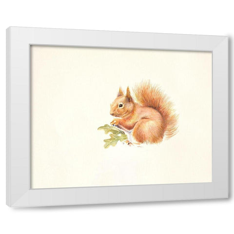 Red Squirrel White Modern Wood Framed Art Print by Mayes, Hilary