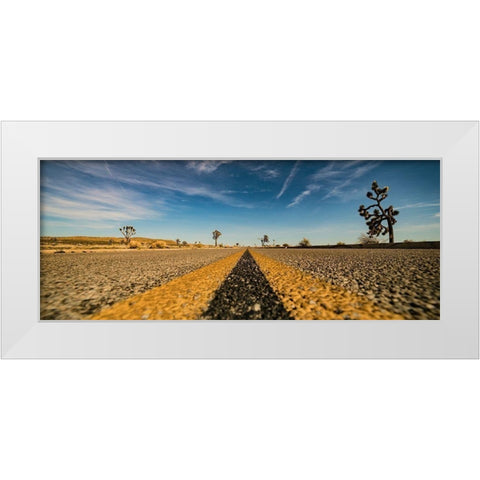 Joshua White Modern Wood Framed Art Print by Lichtenwalter, Tom