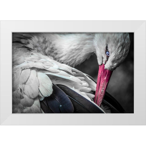 The Stork White Modern Wood Framed Art Print by Ronin