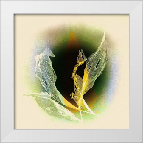 Verdeckt White Modern Wood Framed Art Print by Baumann, Matthias