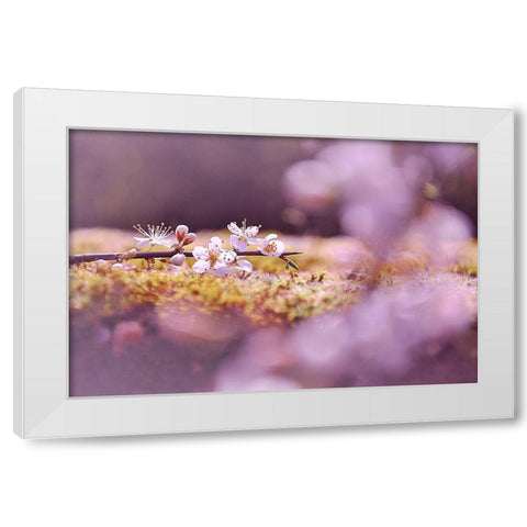 Aurore White Modern Wood Framed Art Print by Strohmenger, Gaelle
