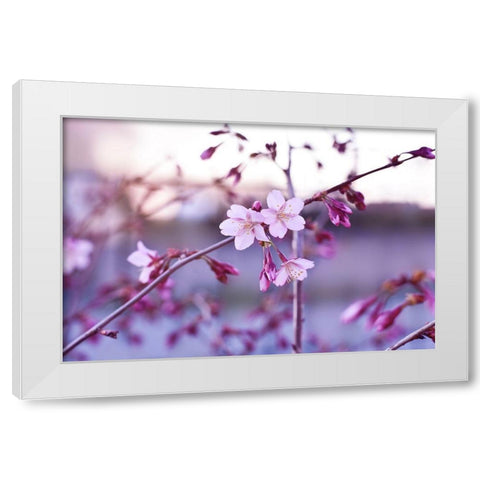 Crepuscule White Modern Wood Framed Art Print by Strohmenger, Gaelle
