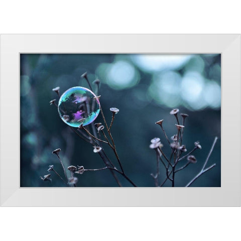 Fragile Perle White Modern Wood Framed Art Print by Strohmenger, Gaelle