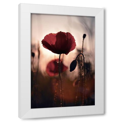 Vanite White Modern Wood Framed Art Print by Strohmenger, Gaelle