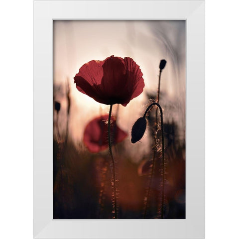 Vanite White Modern Wood Framed Art Print by Strohmenger, Gaelle