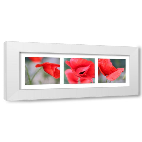 Mohn White Modern Wood Framed Art Print by MIRA