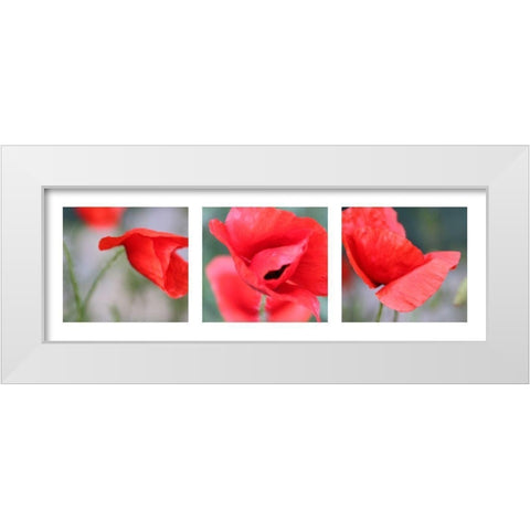 Mohn White Modern Wood Framed Art Print by MIRA