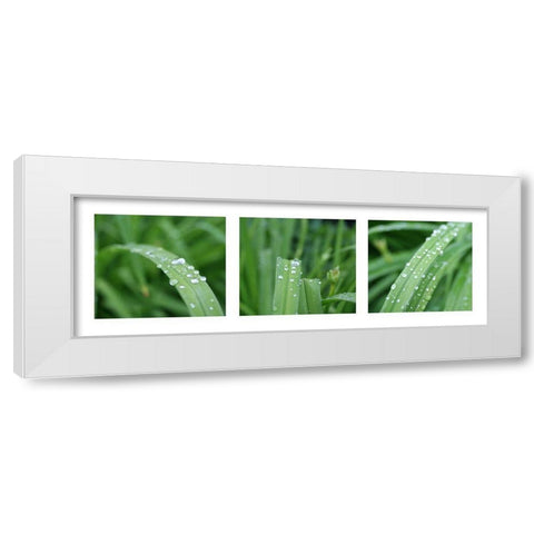 Raindrops White Modern Wood Framed Art Print by MIRA