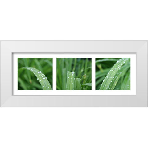 Raindrops White Modern Wood Framed Art Print by MIRA