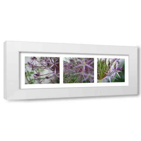 Allium I White Modern Wood Framed Art Print by MIRA