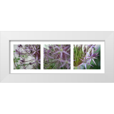 Allium I White Modern Wood Framed Art Print by MIRA