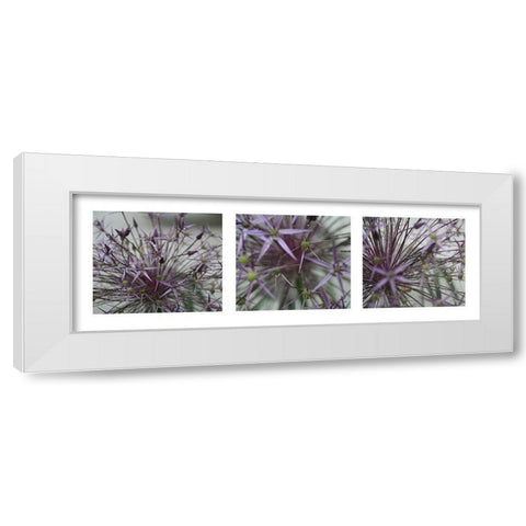 Allium II White Modern Wood Framed Art Print by MIRA