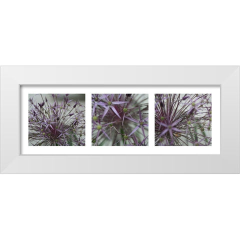 Allium II White Modern Wood Framed Art Print by MIRA