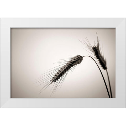 Sommertraum V White Modern Wood Framed Art Print by Steger, Uwe