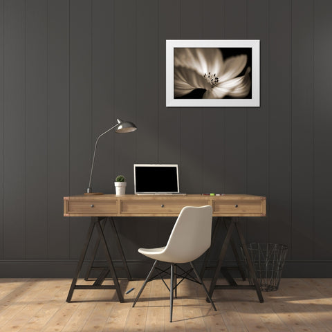 Die Tanzerin White Modern Wood Framed Art Print by Steger, Uwe