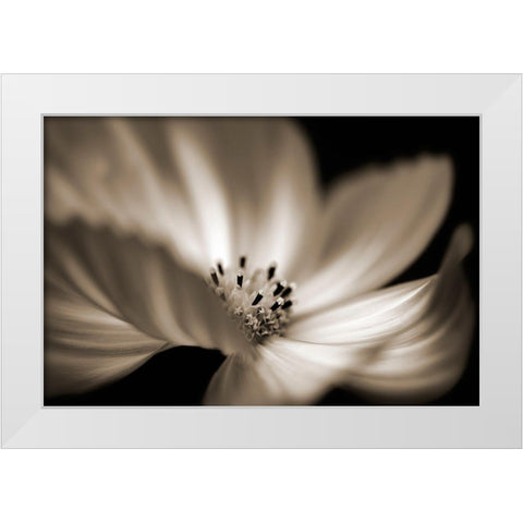 Die Tanzerin White Modern Wood Framed Art Print by Steger, Uwe