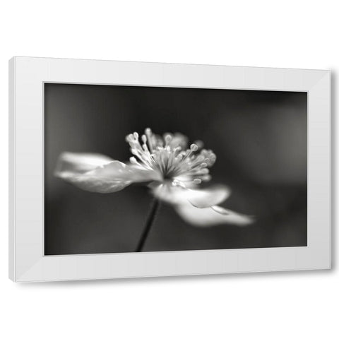 Stars III White Modern Wood Framed Art Print by Steger, Uwe