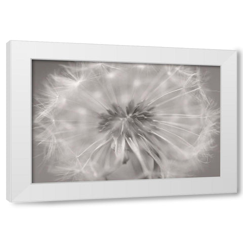 Gentle Touch II White Modern Wood Framed Art Print by Steger, Uwe