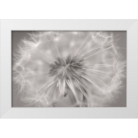 Gentle Touch II White Modern Wood Framed Art Print by Steger, Uwe