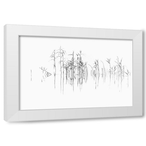 Sign I White Modern Wood Framed Art Print by Steger, Uwe