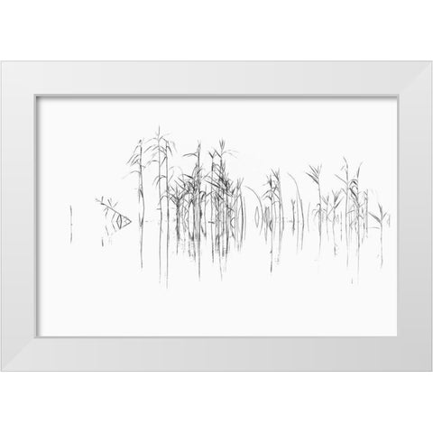 Sign I White Modern Wood Framed Art Print by Steger, Uwe