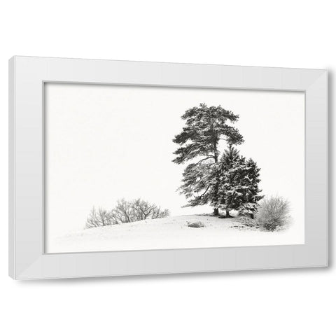 Solitar II White Modern Wood Framed Art Print by Steger, Uwe