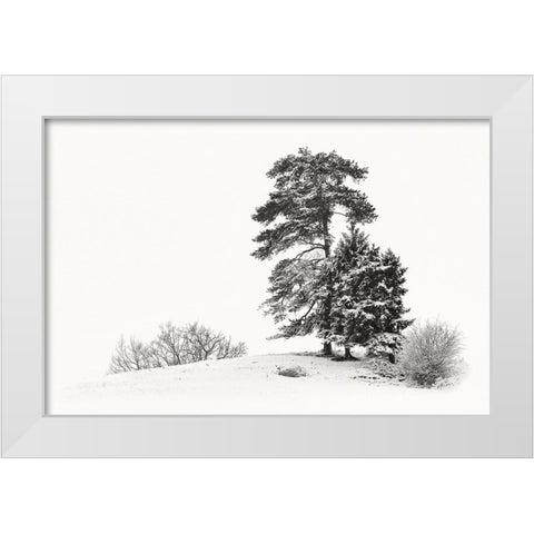 Solitar II White Modern Wood Framed Art Print by Steger, Uwe
