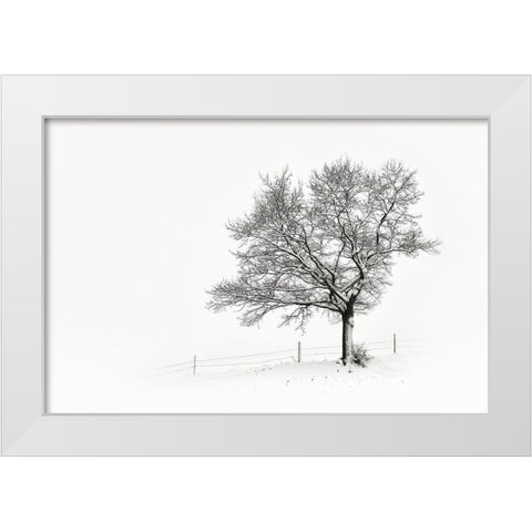 Solitar III White Modern Wood Framed Art Print by Steger, Uwe