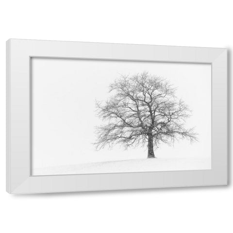 Wintersturm I White Modern Wood Framed Art Print by Steger, Uwe